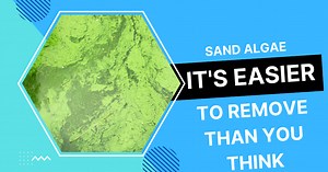 Prevent sand algae, weather it’s red algae on sand or green algae
