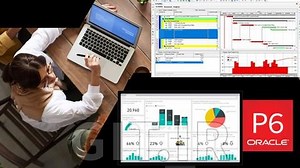 Primavera P6 Professional Project Management