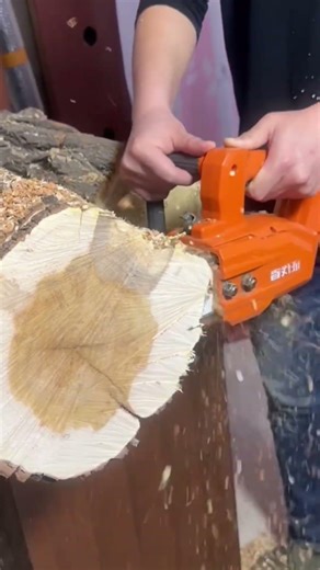 Fast and Accurate Tree Cutting