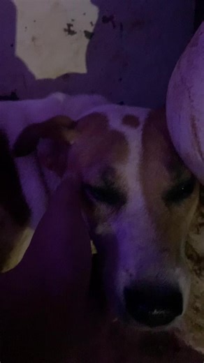Baby's Adorable Reaction to Fireworks on New Year