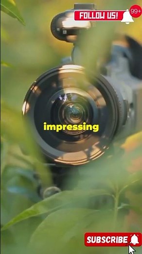 World's Smallest Cameras! 📸