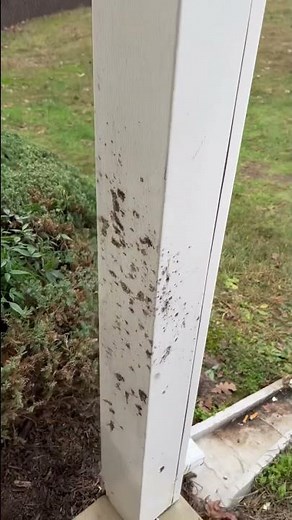 Wrap columns with aluminum, Service work to keep large customers happy￼￼