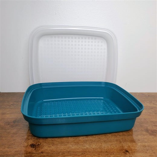 Tupperware Season Serve Marinating Container Large Teal BBQ Prep 1294 New - Etsy Canada