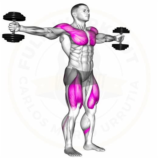 Dumbbell Defined Delts | Full workout