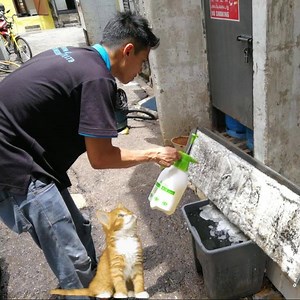 97K views · 6 comments |  Chemical Overhaul for 10 units of commercial wall mounted units.  Searching for Aircon Specialist? 珞 For Commercial / Residential / Office - servicing , chemical overhaul , troubleshoot , repair , installation ... ( AHU , VRV , Ducting , Chilled Water System , CRAC unit , Multi Split ... ) 珞 ✅ PM us for more details :- www.facebook.com/airconarena www.airconarena.com.sg ✅ Or call 62573363 / 85883363 to find out more. | Aircon Arena | Facebook