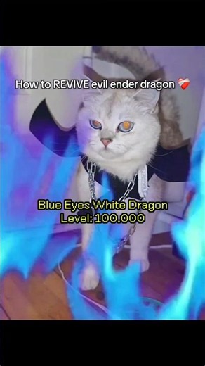 How to REVIVE evil ender dragon 😸💜⚔️ #catshorts #catlove #catlove