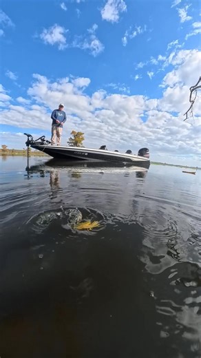 Watch this FROG shimmy across a lily pad towards a log on Caddo Lake! With Randy Deaver - Caddo Pro Bass Guide Service!! #caddolake #frogfishing #naturebeauty #frogs #caddoprobassguideservice | Randy Deaver - Caddo Pro Bass Guide Service