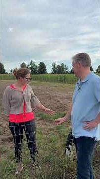 „50 Tage - 50 emotionale Orte“ Tag 43 -Hunde-Freilauf-Wiese