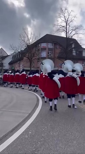 Fast einen ganzen Kreisverkehr lang 🚦🚙🚕🚗 Vorfasnacht in Therwil #guggenmusik #fasnacht #fyp #sound #gugge