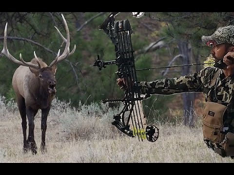 Bowhunting Montana Elk - Close Encounters | Pure Hunting S10 E6