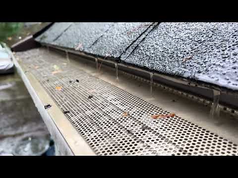 Englert Micro Guard Overview