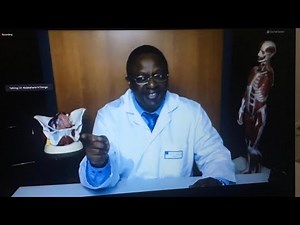 DYNAMIC BIOFEEDBACK AND ELECTRICAL STIMULATION TREATMENT OF PELVIC FLOOR DYSFUNCTION