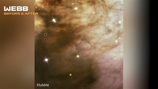 The James Webb Space Telescope is helping to bring clarity to star formation process—literally. ✨ Dense clouds of gas and dust tend to envelop regions where forming and young stars reside. Before Webb was in operation, astronomers were limited in the amount of detail they could gather about the star formation process. This included not being able to define the lower threshold, the least amount of mass an object can have while still forming like a star. Scientists have been able to roughly determ