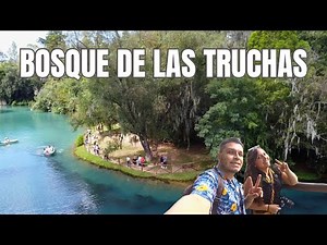 Trout Forest 🐟 in Hidalgo | Ecotourism Park in Huasca de Ocampo 🌲🌲 | MEXICO