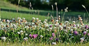 Video by Pixabay on Pexels