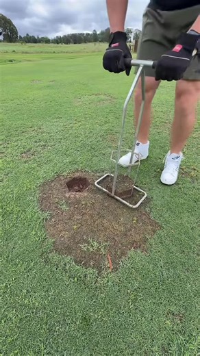Maximize Your Lawn's Health with Aeration