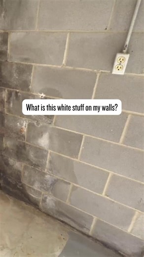 That white stuff on your walls? That’s called efflorescence. Efflorescence is a warning sign of excess moisture. It can be cleaned off, but the water causing it won’t stop on its own. If you see this on your walls, it’s time for an inspection. | JES Foundation Repair