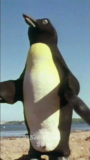 Giant Electric Penguin | Scott of the Sahara Monty Python's Flying Circus #montypython #flyingcircus