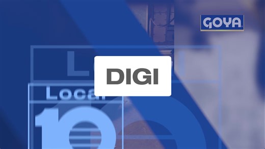 5.2K views | DIGI SHORT: Houston Zoo animals enjoy the snowy weather | WPLG Local 10 | Facebook