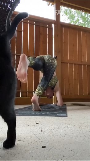 99K views · 635 reactions | FailArmy on Reels | Facebook