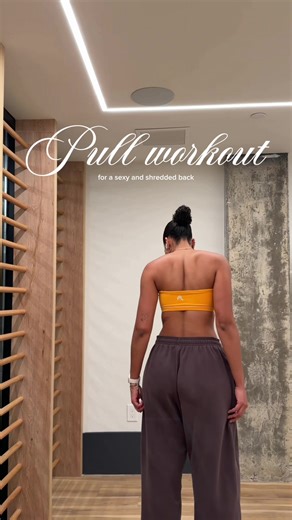 Beginner Friendly Back Workout for Strength and Tone