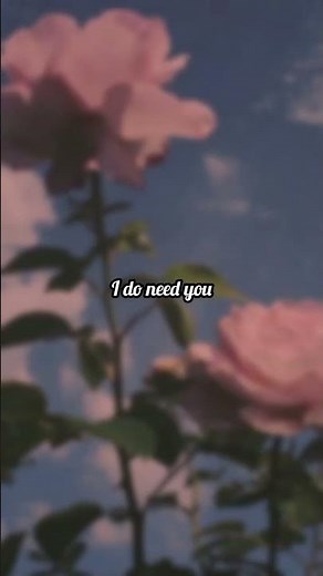 No matter what I do all I think about is you lyrics #lyrics #nelly #sing