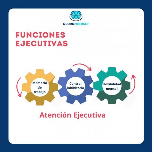 ¿Qué son las Funciones Ejecutivas? [Educar desde la Neurociencia]