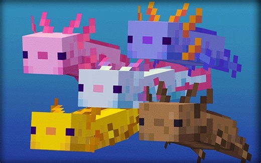 5 best pets in Minecraft 1.1