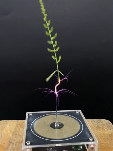 Exploring Rotating Lightning with Tesla Coils