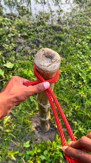 Ultimate Tree Knot Trick 🌳🪢 | Strong & Easy No-Slip Rope Knot