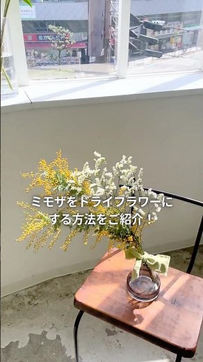 ＼成功率UP／ミモザのドライフラワーの作り方💛 #ミモザ #ドライフラワー #国際女性デー