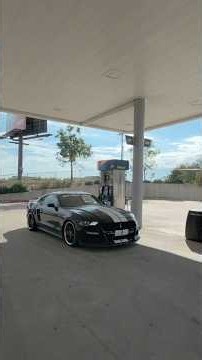 How much fuel does the Mustang need? ⛽️ #JgCollection #Mustang #ForYou #Cars #Shelby #FordMustang