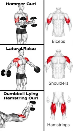 Dumbbell Workouts: Build Biceps, Shoulders, and Hamstrings Fast! #shorts