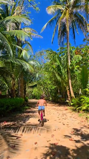 Beach Bike on Bocas Del Toro | Best way to explore the island #travel #bocasdeltoro #panama