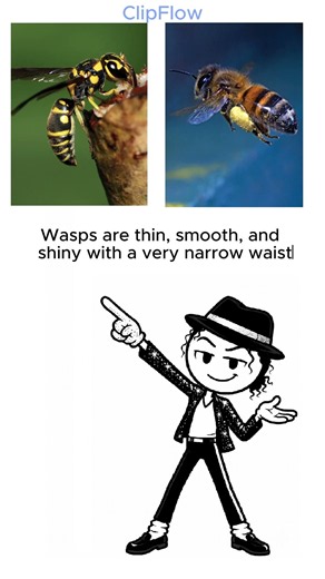 What's the Difference? 🐝