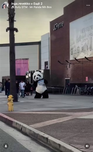 The Swimming Academy in Los Angeles is opening its doors! Starting January 2, training sessions and classes for all skill levels will begin. We are excited to welcome new and returning students to our groups. Our goal is to nurture champions, achieve quality results, and unlock each student’s potential! Class Schedule: \t•\tTeam and Pre-Team: Monday, Wednesday, Friday — 3:45 PM to 5:00 PM \t•\tBeginners: Tuesday, Thursday — 4:00 PM to 5:00 PM Saturday — 10:00 AM to 11:00 AM Our club also offers 