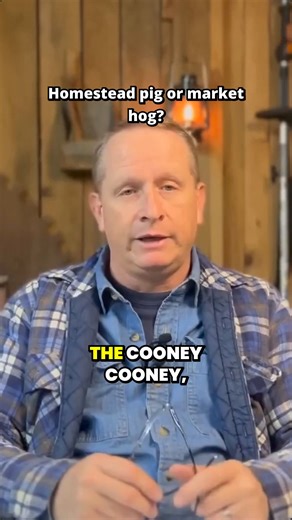 Sheraton Park Farms on Instagram: "Best pig breeds for beginners: homestead vs commercial (KuneKune, Mangalitsa, Idaho Pasture vs Berkshire, Duroc, Yorkshire) #homesteading #farming #pasturedpigs"