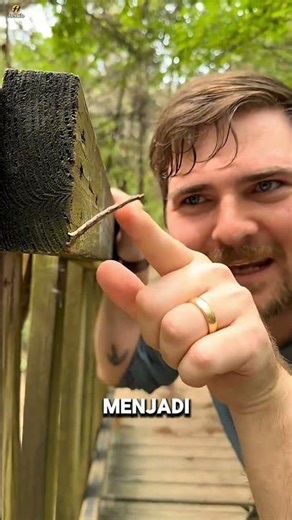 Cacing Kecil Ini Bisa Menyamarkan Diri! 😱🐛 #shortsviral