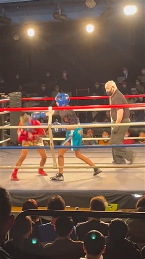 ホモと見る少年革命家ゆたぼんのボクシングの試合