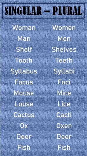 Singular vs plural nouns!! Regular and irregular forms of verb 🤫