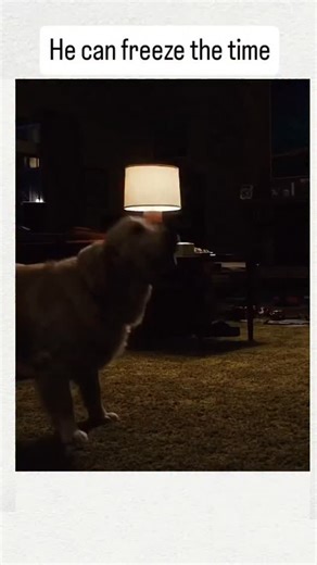 clip's Mania on Instagram: "🎬 CLICK (2006) ⏰😂 Comedy • Drama • Fantasy “What if you could fast-forward your life?” ⏰😂 Be careful what you wish for. Click starts as a fun comedy but slowly turns into a surprisingly emotional life lesson. Blending humor with heartfelt moments, the film explores time, family, and the choices we take for granted. With laughs, regrets, and powerful realizations, it reminds us that life isn’t meant to be skipped — every moment matters. Funny, touching, and unforget