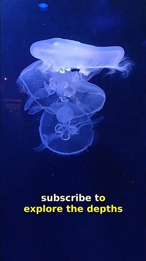 Bioluminescent Waves: Discover the Magic of Glowing Oceans!