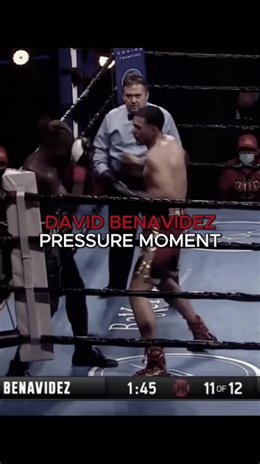 David Benavídez Boxing Highlights and Edits