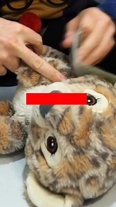 Go on, go on, go on… buy a Concern Christmas Gift today! Just visit gifts.concern.net and you can change a life this Christmas! 🎄 | Concern Worldwide