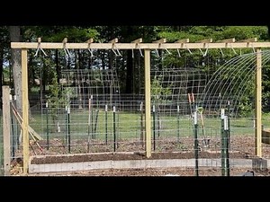 Death of the Tomato Cage...EASY String Trellis Build!