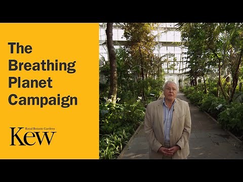 Kew Gardens - The Breathing Planet Campaign