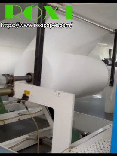 Roxi_tissuepaperfactory＾＾Leo on TikTok