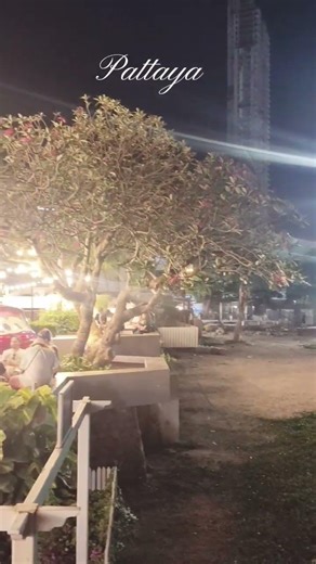 The memories awakened by the night sea strike my heart, #MemoryRemains, #Melodyspot, @Oylovepoint