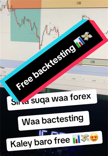Join Our Free Forex Trading Backtesting Session