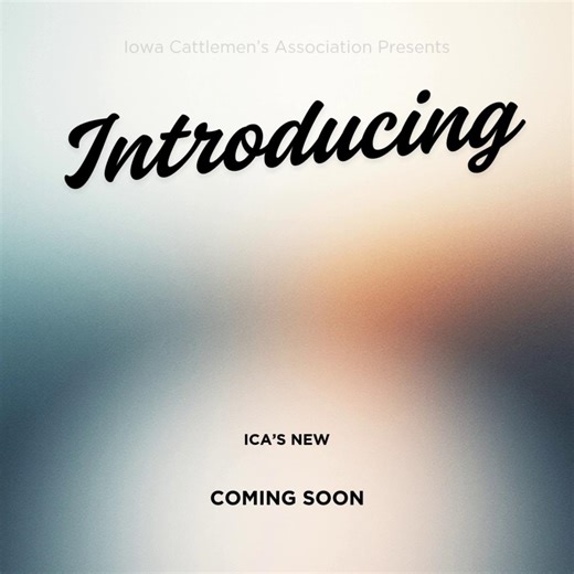 Cattlemen’s Compass is ICA’s new video series created with Iowa cattle producers in mind. Each episode highlights timely topics and practical insights in a quick and easy to watch format. We are bringing education straight to you wherever you are. Tune in from your laptop, tractor, or phone and get information that matters to your operation. Watch for our first episode coming soon! | Iowa Cattlemen's Association